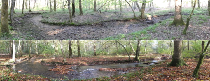 Why are intermittent rivers so challenging for science, management and policy and what can we do about&nbsp;it?