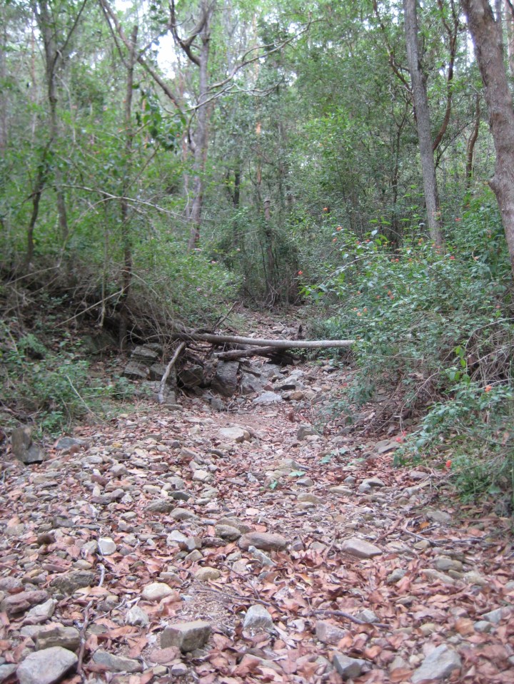 Got or want data? Check out the new database on intermittent river&nbsp;biodiversity