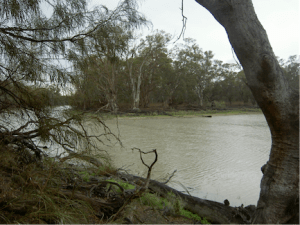 Murrumbidgee River