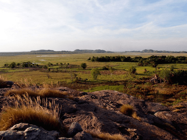 Urgent action needed to protect world’s&nbsp;wetlands