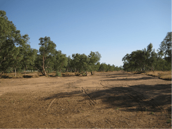 dry river bed