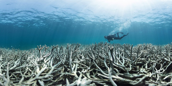 To fix the reef we first need to fix the land – but where do we&nbsp;start?