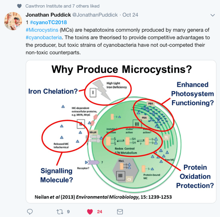 4 Twitter screenshot