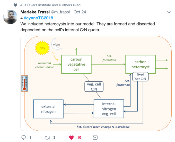 5 Twitter screenshot