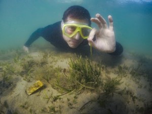 Rod say seagrass is ok
