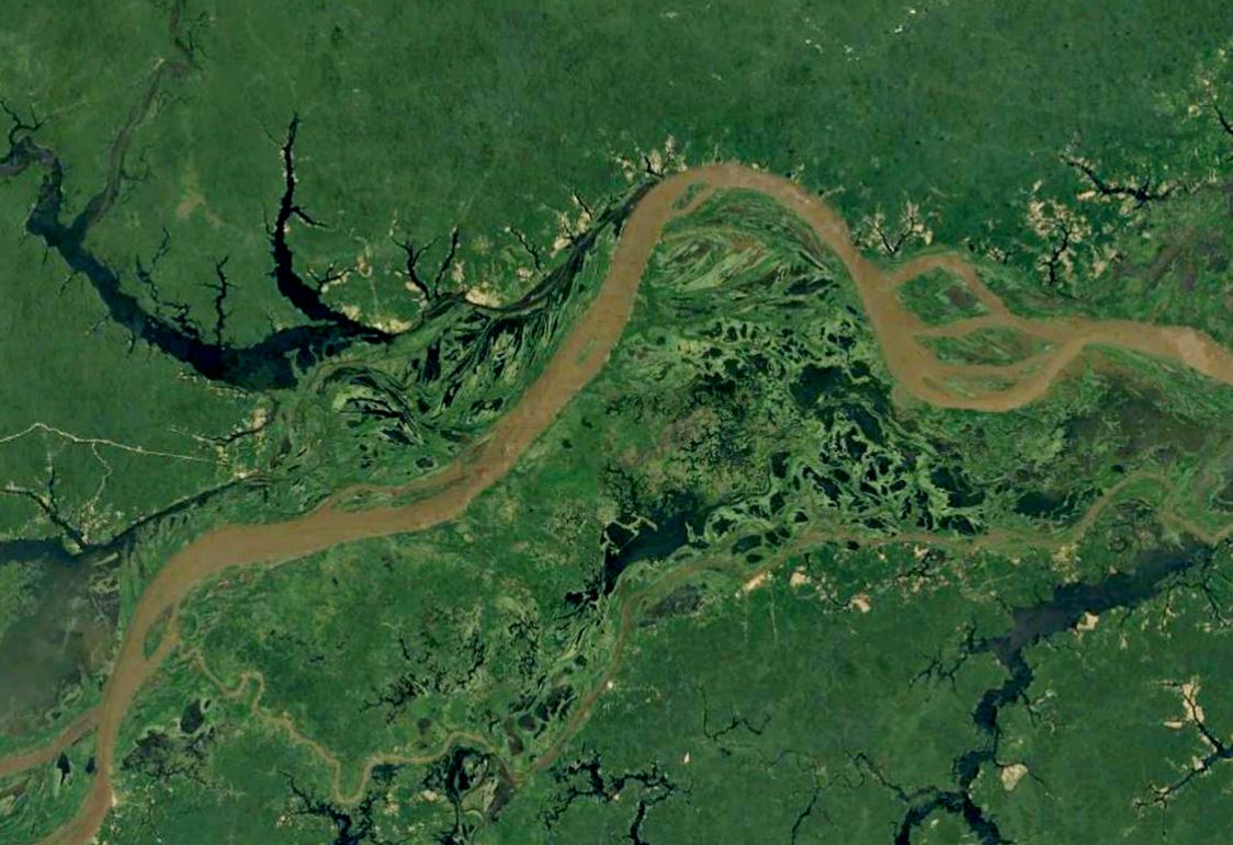 The Amazon is under threat, but our new study gives hope to improving ...