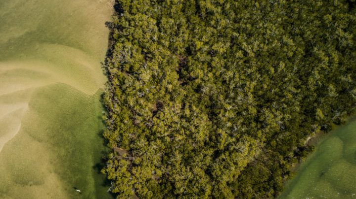 GLOW_moreton_bay_coombabah-12-1024x575