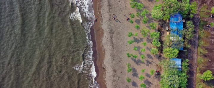 EFFECTIVE ACTION NEEDS ACCESSIBLE&nbsp;SCIENCE